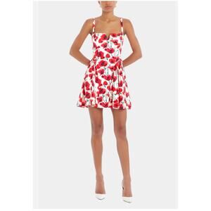 Amanda Uprichard Sarabeth Floral Sleeveless Mini Dress in Poppy Field Size Small